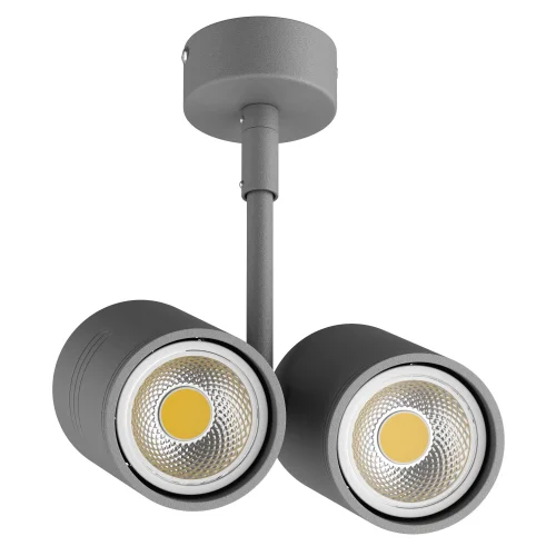 Светильник накладной LED Rullo 214449 Lightstar серый 2 лампы, основание серое в стиле хай-тек круглый