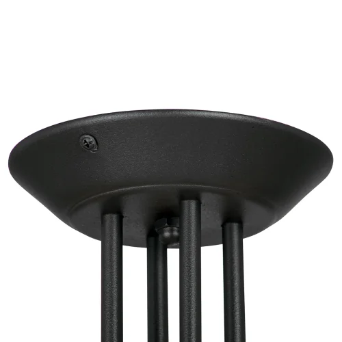 Люстра потолочная V5152-1/4PL Vitaluce прозрачная на 4 лампы, основание чёрное в стиле классический современный  фото 4