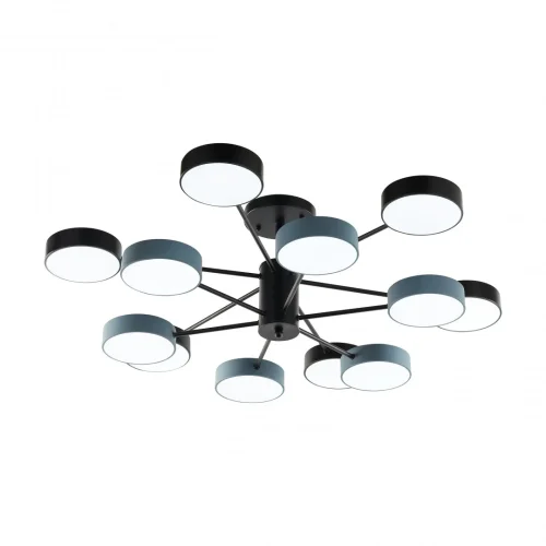 Люстра потолочная LED Ferrara 250906/12B Bk/Gr Arte Milano белая на 1 лампу, основание чёрное в стиле современный фото 5