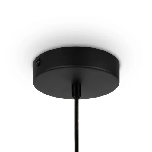 Светильник подвесной Roots MOD193PL-01W Maytoni бежевый 1 лампа, основание чёрное в стиле кантри современный  фото 5