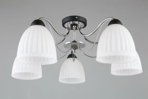 Люстра потолочная Fiesole OML-65707-05 Omnilux белая на 5 ламп, основание чёрное в стиле современный  фото 2