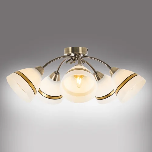 Люстра потолочная Emily MR1460-5C MyFar белая на 5 ламп, основание бронзовое в стиле классический современный  фото 7