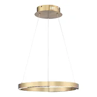 Светильник подвесной LED Parilla SL6238.323.01 ST-Luce латунь на 1 лампу, основание латунь в стиле современный кольца