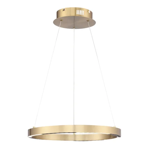 Светильник подвесной LED Parilla SL6238.323.01 ST-Luce латунь на 1 лампу, основание латунь в стиле современный кольца