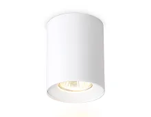 Светильник накладной TN213136 Ambrella light белый 1 лампа, основание белое в стиле хай-тек модерн круглый