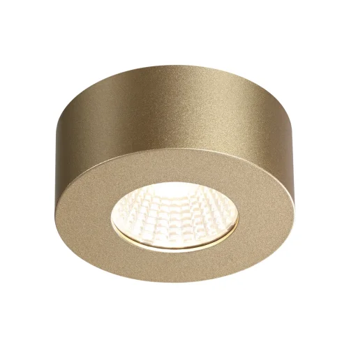 Светильник накладной LED Bene 4284/7CL Odeon Light золотой 1 лампа, основание золотое в стиле современный хай-тек круглый фото 3