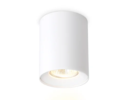 Светильник накладной TN213136 Ambrella light белый 1 лампа, основание белое в стиле хай-тек современный круглый