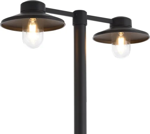 Парковый светильник Basko SL9542.705.02 ST-Luce уличный IP графит чёрный на 2 лампы, плафон прозрачный в стиле лофт E27 фото 2