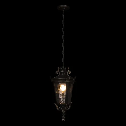 Подвесной светильник Verona 100003P LOFT IT уличный IP55 чёрный 1 лампа, плафон прозрачный в стиле классический E27 фото 2