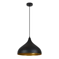 Светильник подвесной Carmel A7076SP-1BK Arte Lamp чёрный на 1 лампу, основание чёрное в стиле лофт современный 