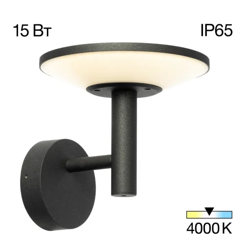 Настенный светильник уличный LED Dorn CLU05W Citilux уличный IP65 графит на 1 лампу, плафон графит в стиле современный LED