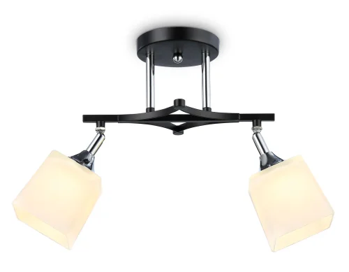 Светильник потолочный TR303063 Ambrella light белый 2 лампы, основание чёрное в стиле современный 
