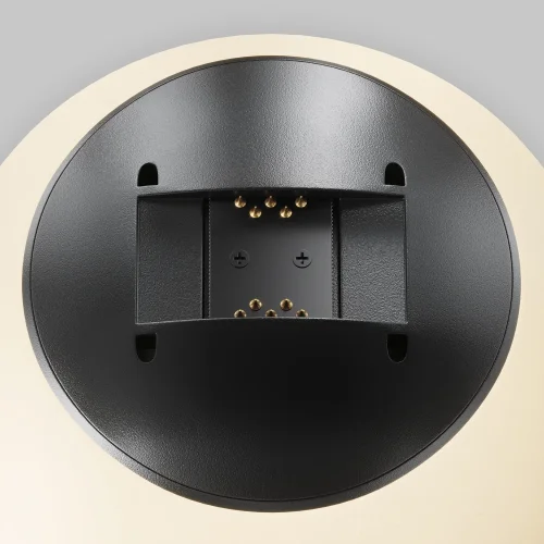 Подвесной светильник Luna 3000K 10Вт 80° Pendant system Parity TR125B-10W3K-B Maytoni белый для шинопроводов серии Pendant system Parity чёрный фото 7
