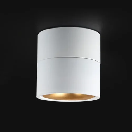 Светильник потолочный AGENDA White+Gold 3W 178051-26 ImperiumLoft белый 1 лампа, основание белое в стиле современный  фото 2
