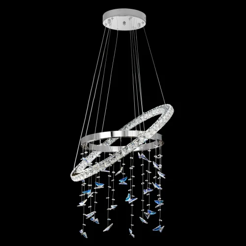 Люстра подвесная LED с пультом Etera CL322060 Citilux прозрачная на 1 лампу, основание хром в стиле современный хай-тек флористика с пультом кольца фото 4