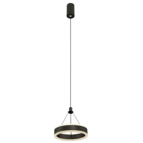 Светильник подвесной LED Дуэт CL719011 Citilux чёрный 1 лампа, основание чёрное в стиле современный хай-тек  фото 3
