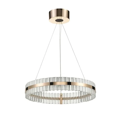 Светильник подвесной LED Faccia VL1694P01 Vele Luce прозрачный на 1 лампу, основание золотое в стиле современный кольца