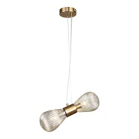 Светильник подвесной LSP-8881 Lussole прозрачный 2 лампы, основание бронзовое в стиле современный 