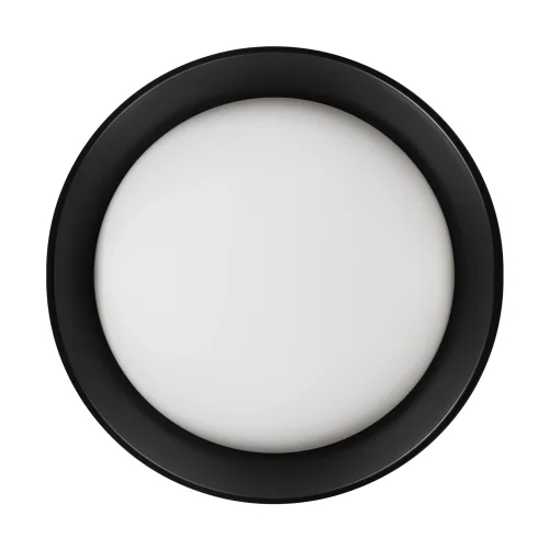 Светильник потолочный LED Coin 10202 BB LOFT IT белый на 1 лампу, основание чёрное в стиле современный круглый фото 3