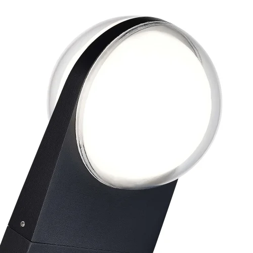 Парковый светильник LED Celeste SL9510.405.01 ST-Luce уличный IP54 чёрный 2 лампы, плафон белый в стиле современный LED фото 2