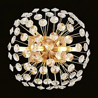 Бра Alaska LSP-8950 Lussole прозрачный на 4 лампы, основание золотое в стиле современный флористика 