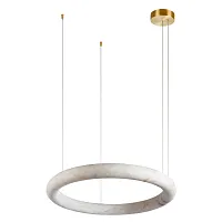 Светильник подвесной LED Oslo 10407/800 LOFT IT белый на 1 лампу, основание бронзовое в стиле современный кольца