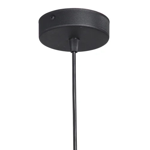 Светильник подвесной V4961-1/1S Vitaluce без плафона 1 лампа, основание чёрное в стиле лофт  фото 4