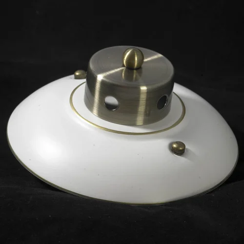 Люстра потолочная Fayetteville LSP-0166 Lussole белая на 5 ламп, основание бронзовое в стиле современный шар фото 6