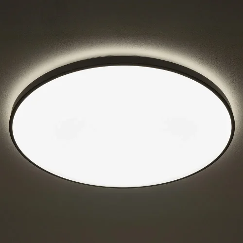 Светильник потолочный Agnes Round Pro 10976-NW Nowodvorski белый на 1 лампу, основание чёрное в стиле современный круглый фото 2