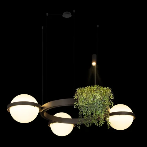 Светильник подвесной LED Jardin 10121/3 Dark grey LOFT IT белый 3 лампы, основание чёрное антрацит в стиле флористика арт-деко  фото 3