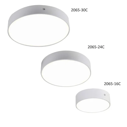 Светильник накладной LED Flashled 2065-16C Favourite белый на 1 лампу, основание белое в стиле современный круглый фото 4