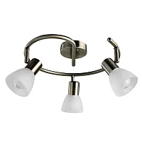 Спот С 3 лампами PARRY A5062PL-3AB Arte Lamp белый E14 в стиле современный 