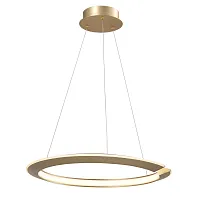 Светильник подвесной LED Virata 814213 Lightstar золотой 1 лампа, основание золотое в стиле хай-тек кольца