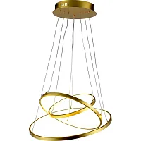 Светильник подвесной LED Efesta 2029/03/03P Stilfort золотой 1 лампа, основание золотое в стиле современный кольца
