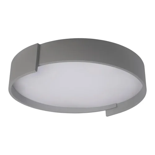 Светильник потолочный LED Coin 10200 Grey LOFT IT белый 1 лампа, основание серое в стиле современный  фото 5