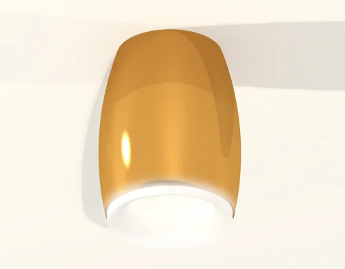 Светильник накладной Techno spot XS1125020 Ambrella light золотой жёлтый 1 лампа, основание золотое жёлтое в стиле современный круглый фото 3
