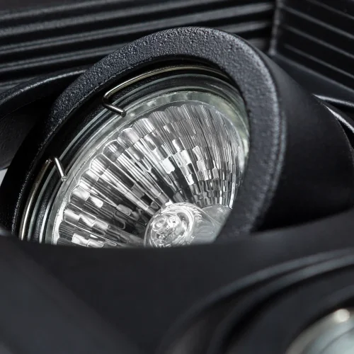 Светильник точечный Canis A6661PL-2BK Arte Lamp чёрный 2 лампы, основание чёрное в стиле современный  фото 3