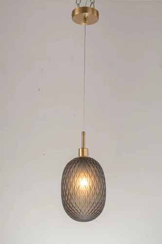 Светильник подвесной Magliano E 1.P3 S Arti Lampadari серый 1 лампа, основание золотое в стиле современный  фото 3