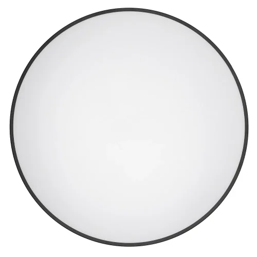 Светильник потолочный Agnes Round Pro 10976-NW Nowodvorski белый на 1 лампу, основание чёрное в стиле современный круглый фото 4