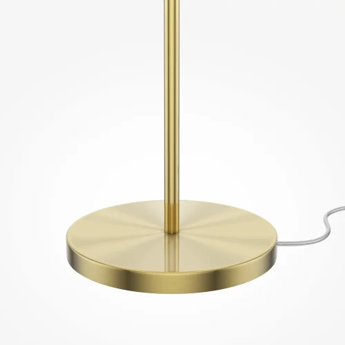 Торшер Lira MOD483FL-01BS Maytoni белый на 1 лампу, основание латунь в стиле современный фото 4