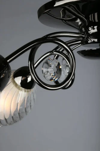 Люстра потолочная Anjou OML-31607-05 Omnilux белая на 5 ламп, основание чёрное в стиле современный  фото 3