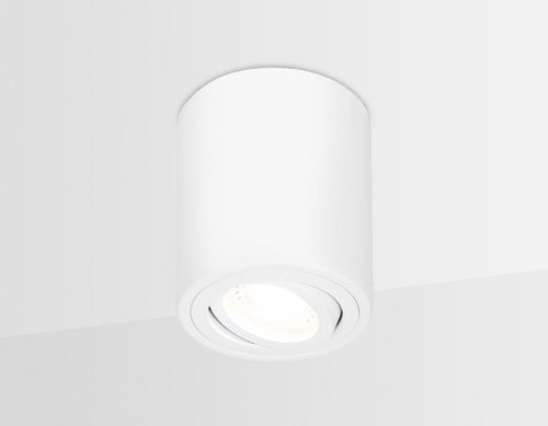 Светильник накладной TN225 Ambrella light белый 1 лампа, основание белое в стиле модерн круглый фото 3