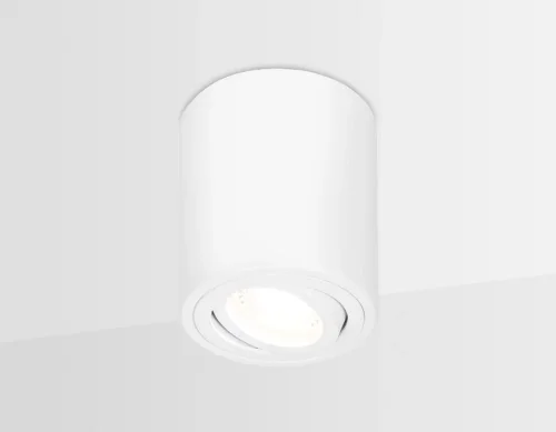 Светильник накладной TN225 Ambrella light белый 1 лампа, основание белое в стиле современный круглый фото 3
