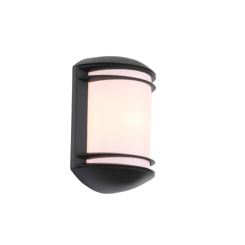 Настенный светильник Agio SL076.401.01 ST-Luce уличный IP54 чёрный 1 лампа, плафон белый в стиле современный E27 фото 2