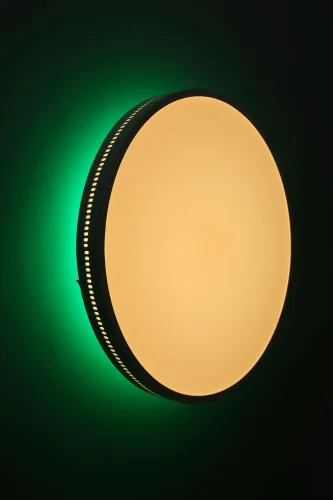 Светильник потолочный LED RGB с пультом Melofon OML-47327-48 Omnilux белый на 1 лампу, основание белое в стиле современный хай-тек с пультом фото 4