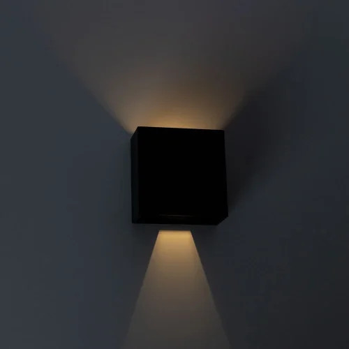 Настенный светильник LED Algol A1445AL-1BK Arte Lamp уличный IP54 чёрный 2 лампы, плафон чёрный в стиле современный LED фото 2