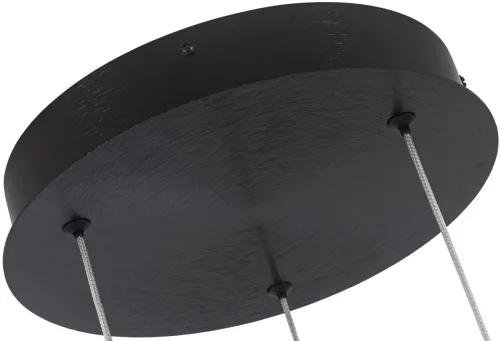 Светильник подвесной LED с пультом Ring 4006/02/01PL Stilfort чёрный 1 лампа, основание чёрное в стиле современный хай-тек с пультом кольца фото 2