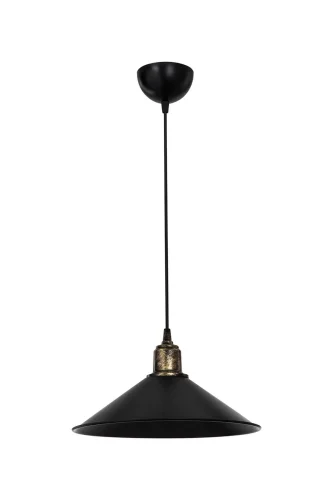Светильник подвесной Delilah TL1606H-01BK Toplight чёрный 1 лампа, основание чёрное в стиле лофт 