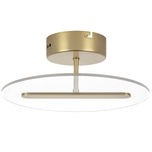 Светильник потолочный LED Acrile 738033 Lightstar прозрачный 1 лампа, основание золотое в стиле минимализм хай-тек современный  фото 2