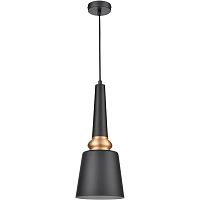 Светильник подвесной Appassionato VL2142P01 Vele Luce чёрный 1 лампа, основание чёрное в стиле современный 